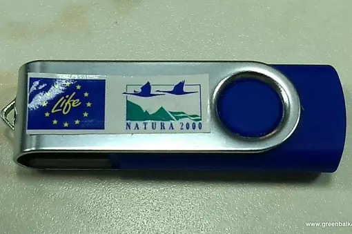 USB балканска среща белошипа ветрушка 2022