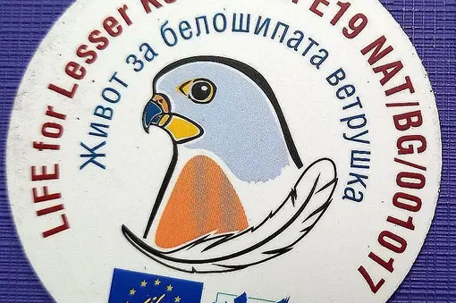 Магнити
