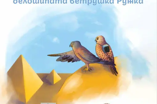 Детска книжка "Приключенията на белошипата ветрушка Ружка"