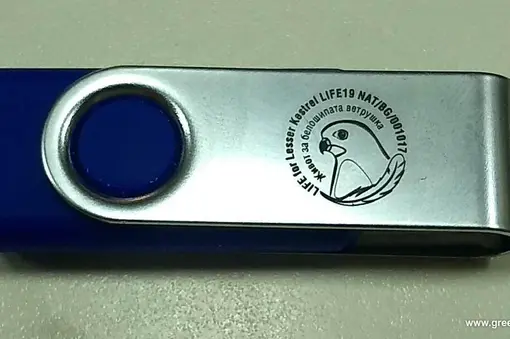 USB балканска среща белошипа ветрушка 2022