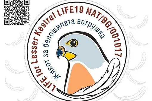 Листовки "Академия природа"