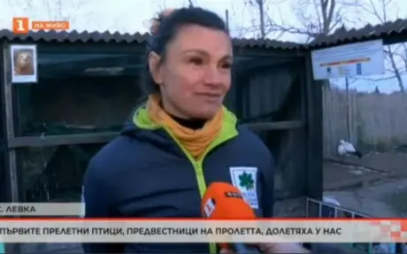 България в 60 минути - Пролетта идва на крилете на белошипата ветрушка